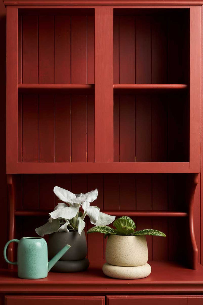 Watering Can - Moss Plant Parent - Product Image