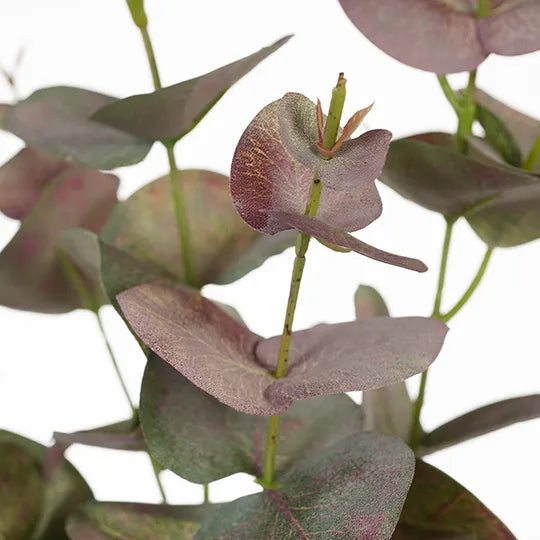 Eucalyptus Silver Dollar - Grey Pink 92cm - Product Image