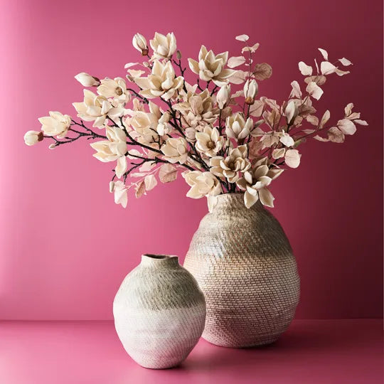 Magnolia Japanese Spray - Cream 79cm - Product Image