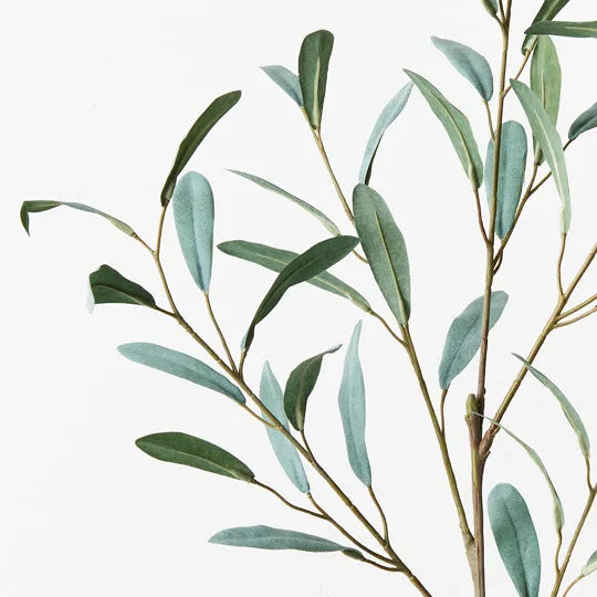Olive Leaf Spray - Grey Green 92cm - Product Image