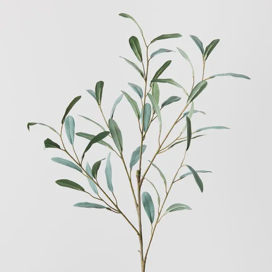 Olive Leaf Spray - Grey Green 92cm - Product Image