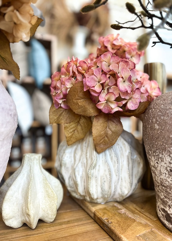Hydrangea Bush - Dusty Pink Cream - Product Image