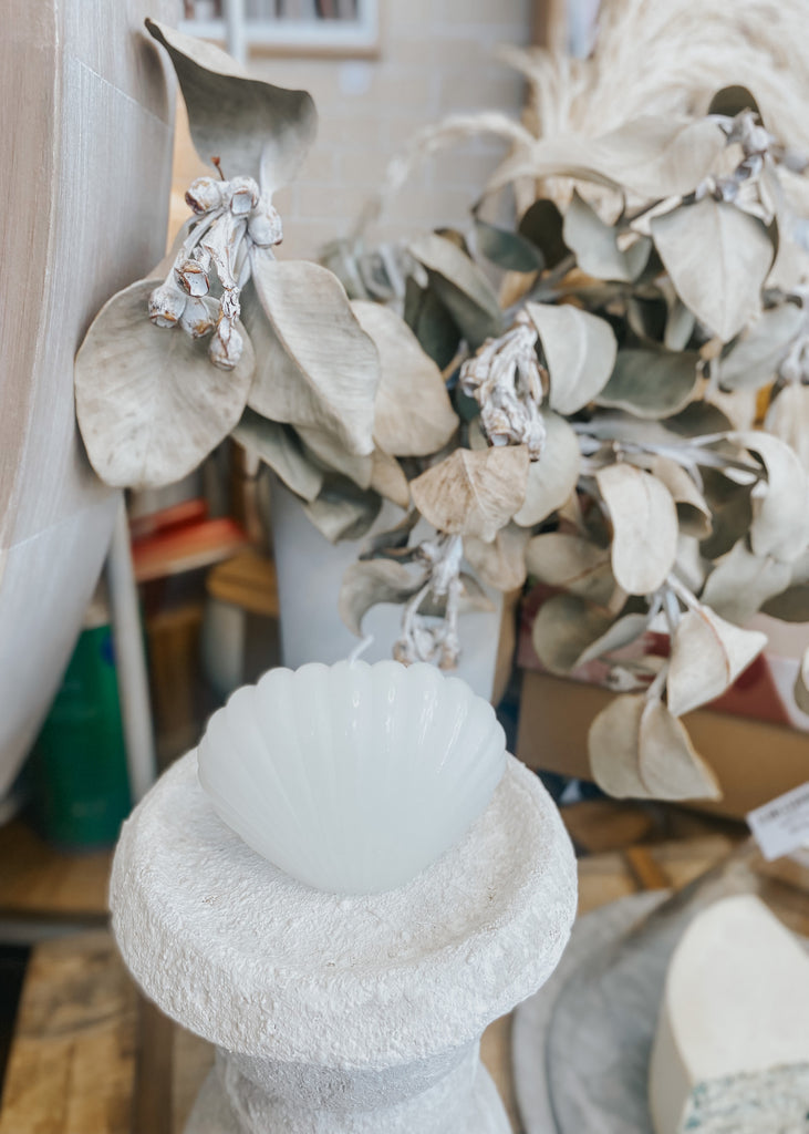 Clam Shell Candle - Product Image