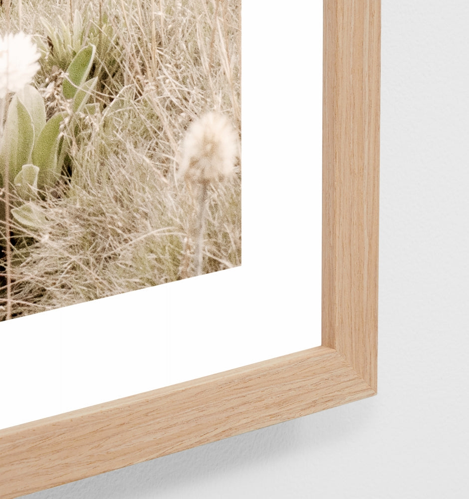 Australian Alpine Spring Framed Print - Product Image