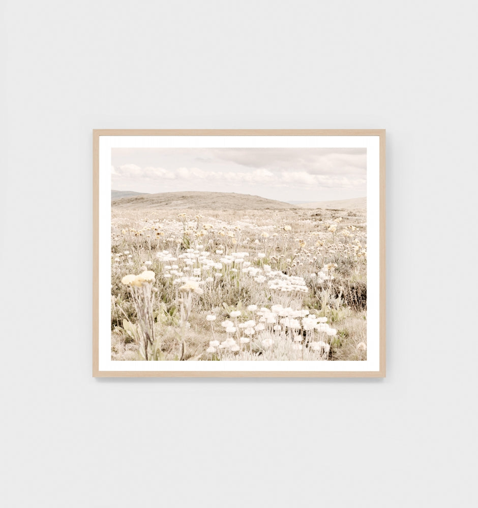 Australian Alpine Spring Framed Print - Product Image