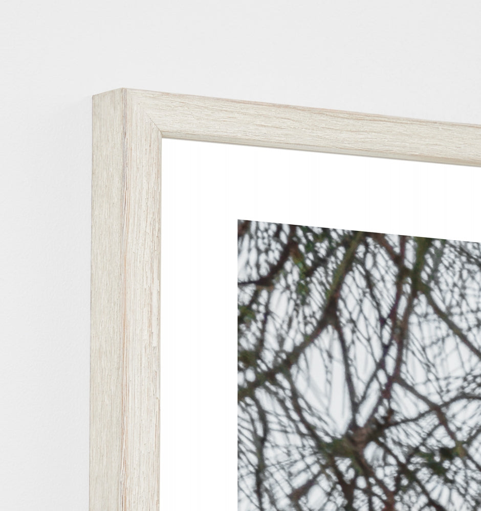 Croatian Cove Framed Print - Product Image