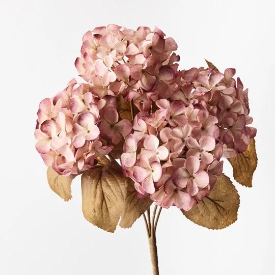 Hydrangea Bush - Dusty Pink Cream - Product Image