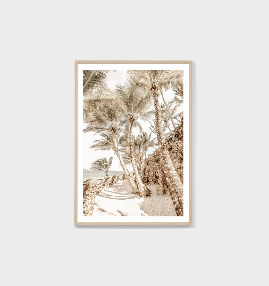 Palm Tree Trail Framed Print - Product Image