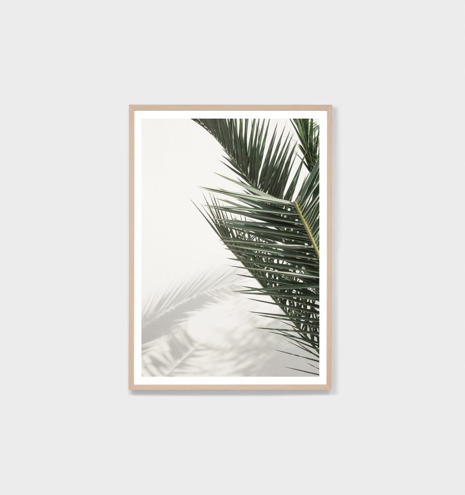 Paradiso Palm Framed Print - Product Image