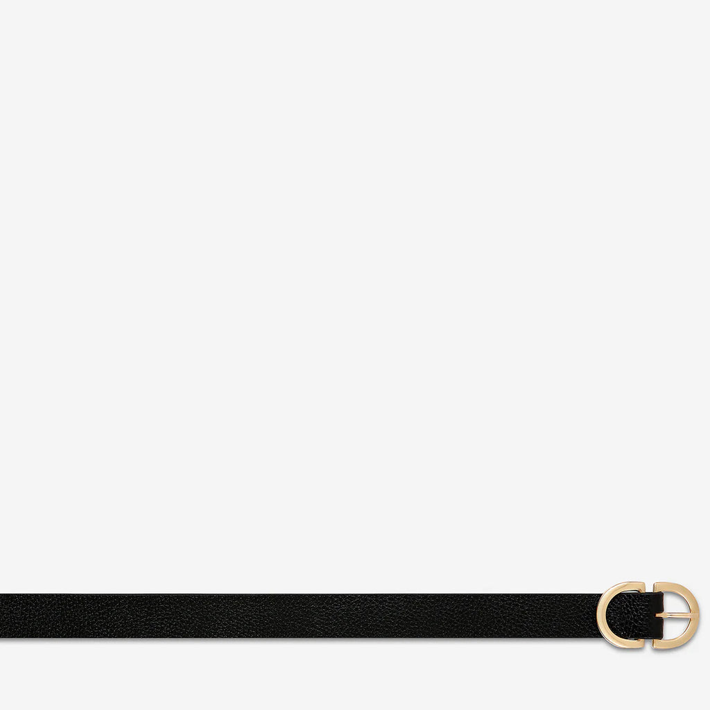 In Reverse - Black Gold Leather Belt - Product Image