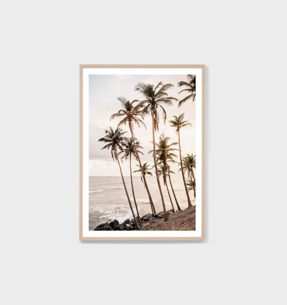 Tropical Dusk Framed Print - Product Image