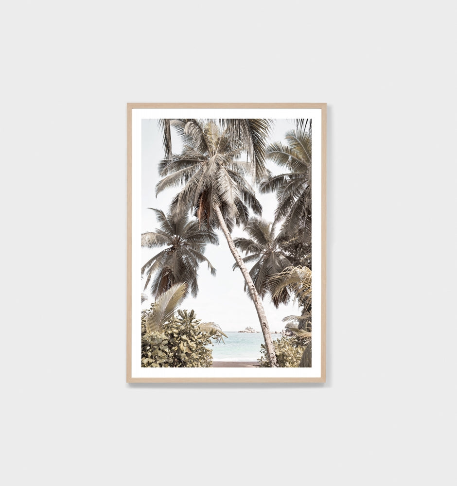 Tropical Retreat Framed Print - Product Image
