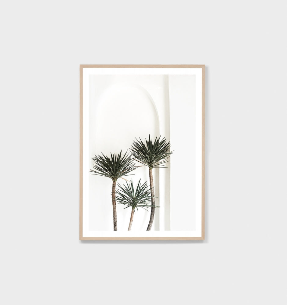 Yucca Archway Framed Print - Product Image