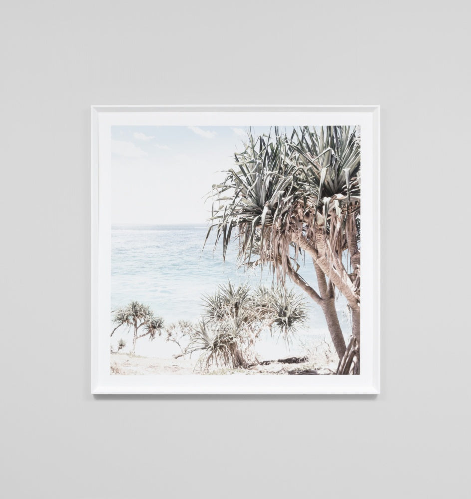 Coastal Palms Framed Print - Product Image