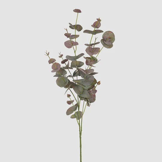 Eucalyptus Silver Dollar - Grey Pink 92cm - Product Image