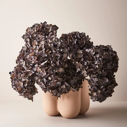 Hydrangea Stem 50cm - Product Image