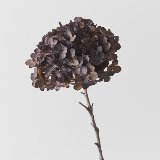 Hydrangea Stem 50cm - Product Image