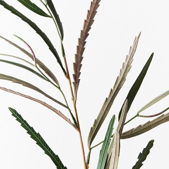 Banksia Leaf Spray - Product Image