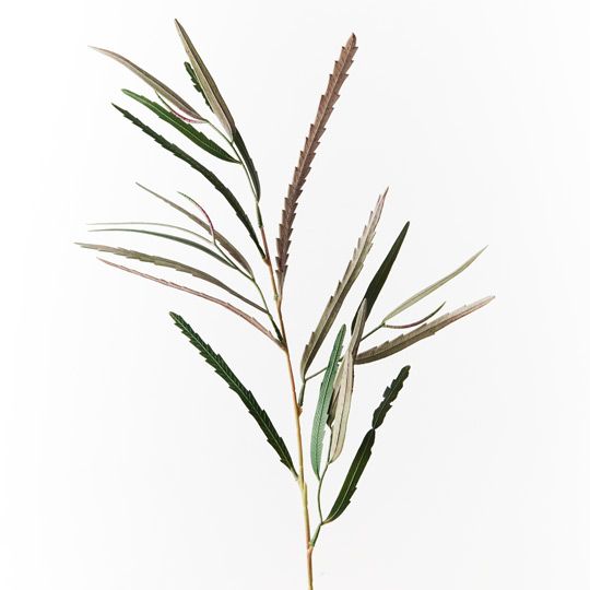 Banksia Leaf Spray - Product Image