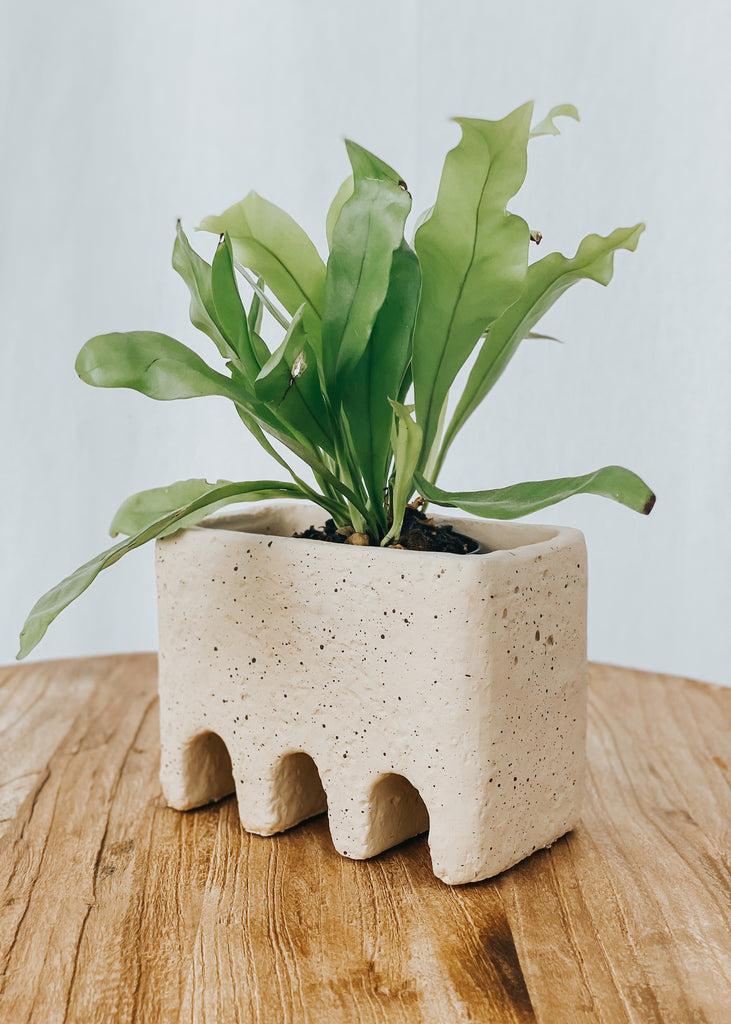 Babel Cement Pot - Natural - Product Image