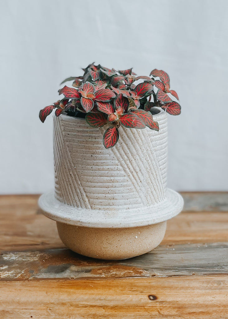 Marsh Ceramic Pot Natural - Product Image