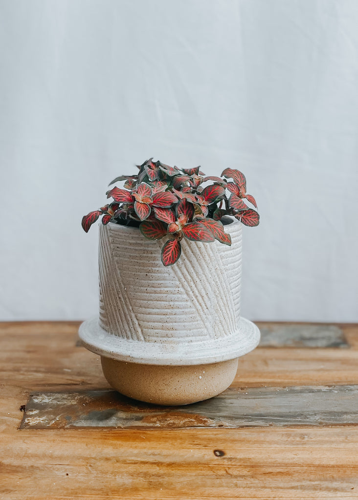 Marsh Ceramic Pot Natural - Product Image
