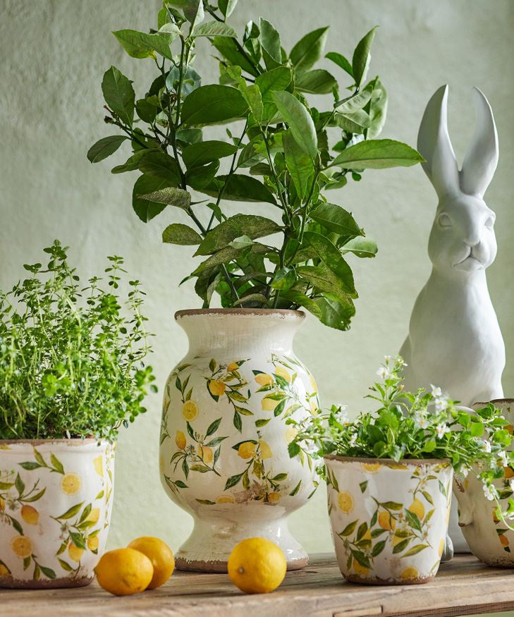 Citron Urn - Product Image