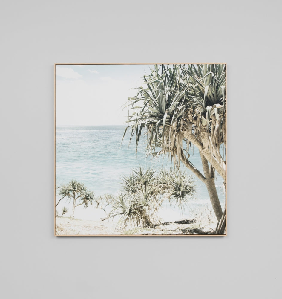 Coastal Palms Framed Canvas - Product Image