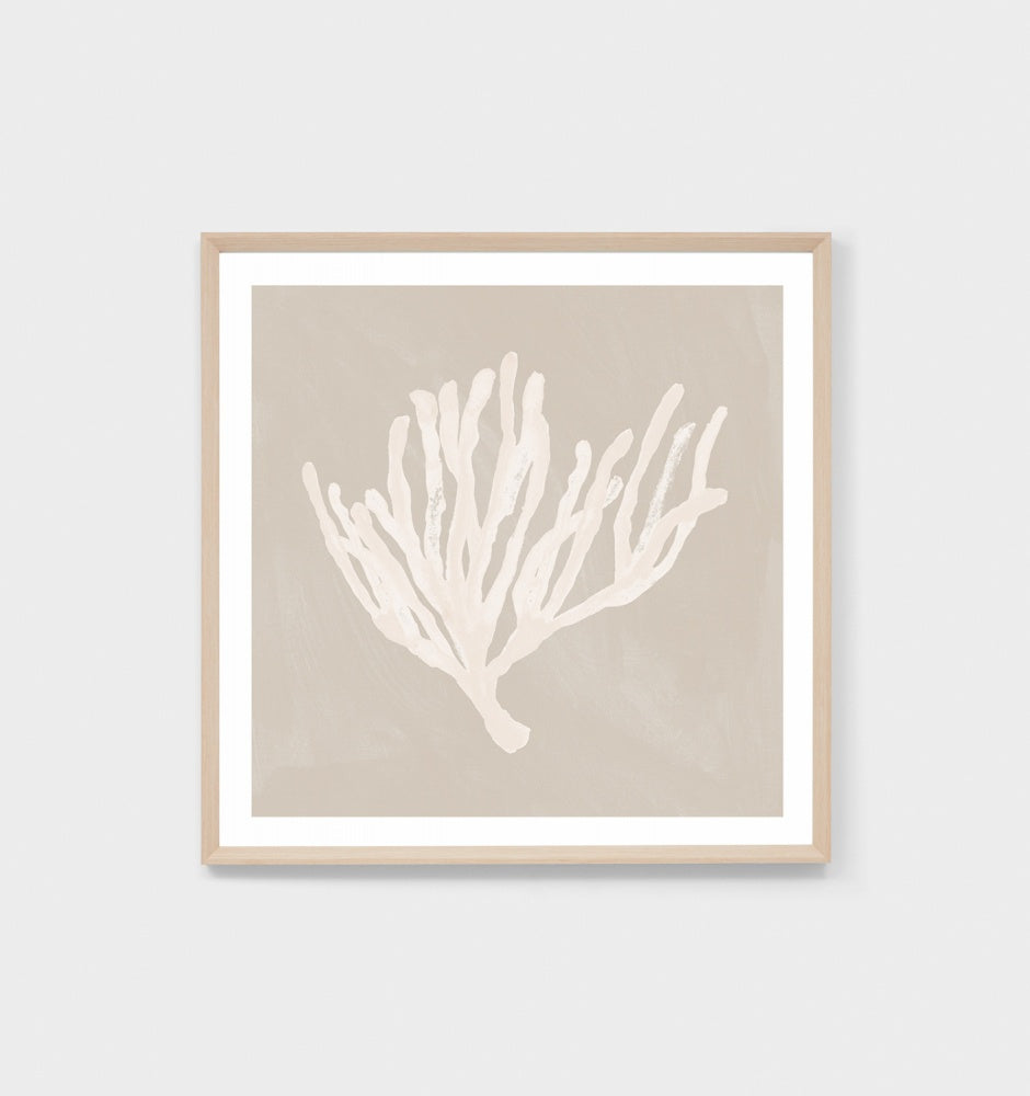 Coral Study Sand 1 Framed Print - Product Image