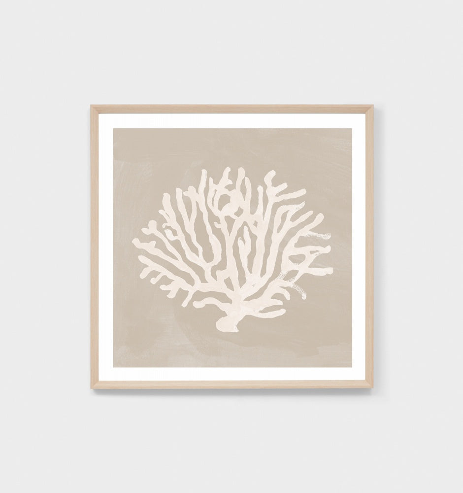 Coral Study Sand 2 Framed Print - Product Image