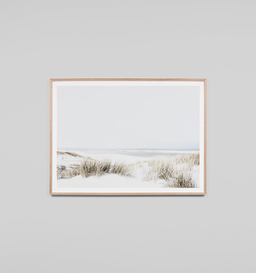 Sand Reed Dunes Framed Print - Product Image
